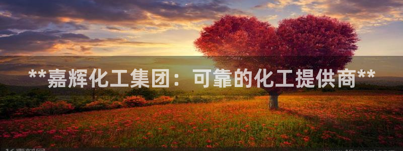 球盟会中国网页登录：**嘉辉化工集团：可靠的化工提供商**