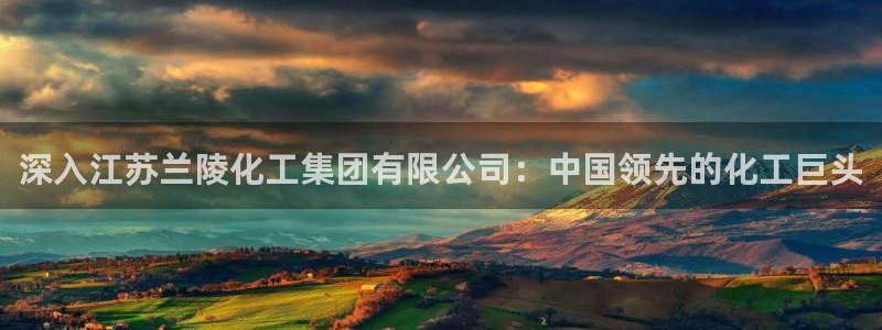 球盟会黑款吗知乎小说：深入江苏兰陵化工集团有限公司：中国领先