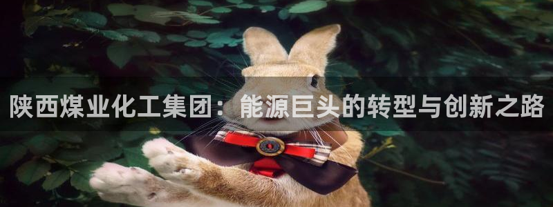 球盟会最新地址备用