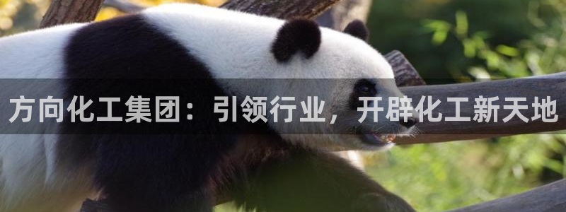 球盟会官方登录平台入口