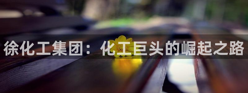 球盟会在线网站