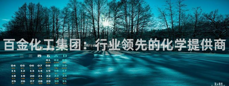 球盟会入口