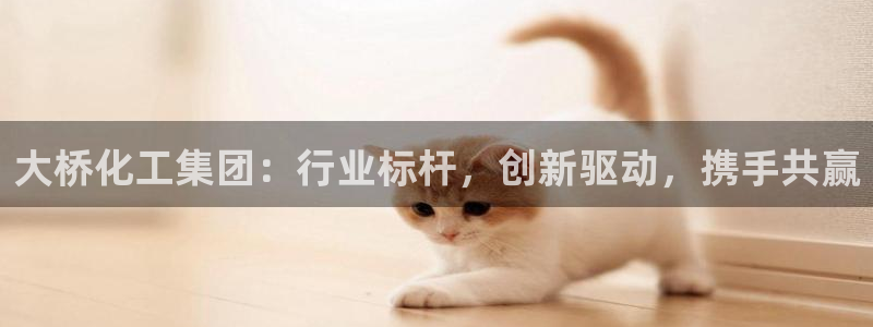 球盟会进不去吗