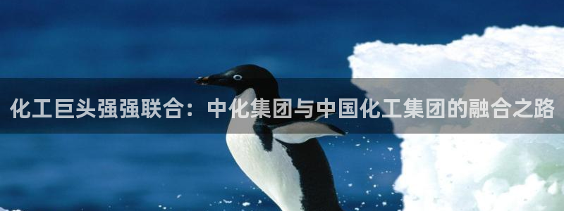 球盟会app入口