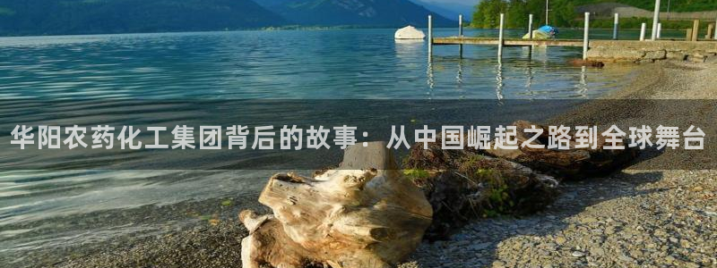 球盟会网页登录app下载地址