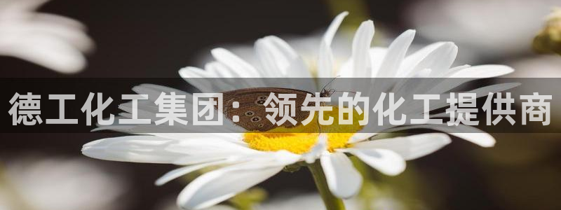 球盟会黑款吗