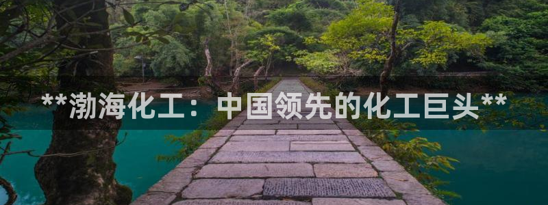 球盟会提款支付宝怎么样