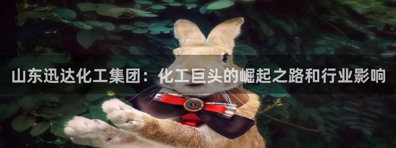 球盟会用的客服聊天是哪个软件