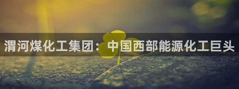 球盟会登录网址