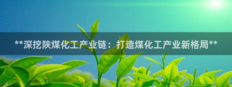 球盟会平台怎么样