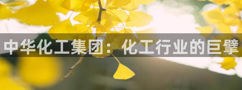 球盟会在线官网