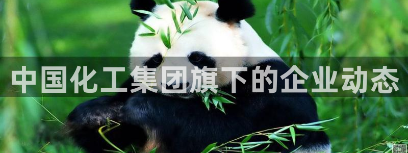 球盟会登录网址