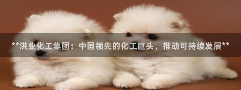 球盟会在线官网