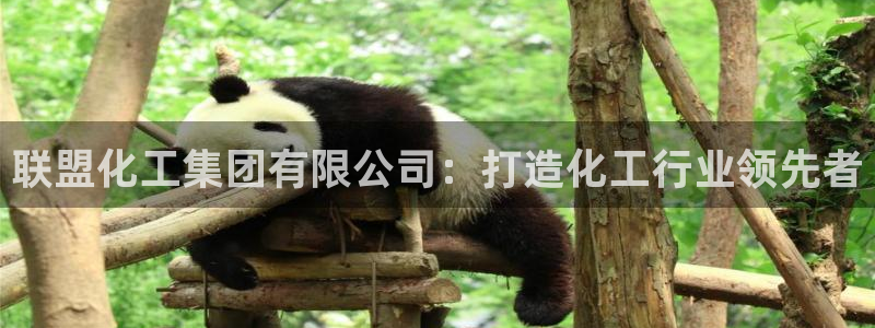 球盟会能退钱吗知乎