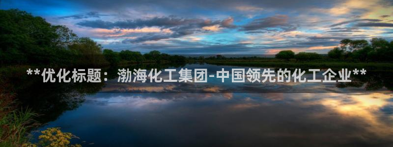 球盟会进不去吗