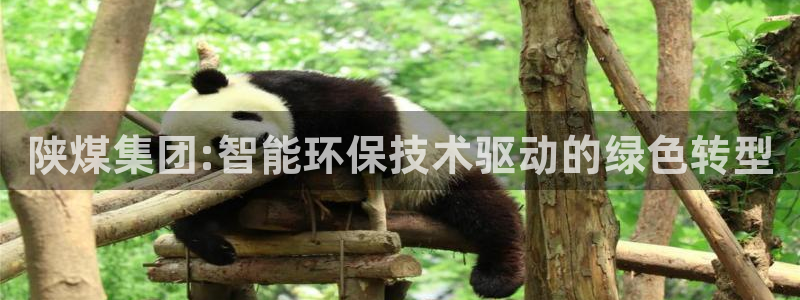球盟会qmh登录地址：陕煤集团:智能环保技术驱动的绿色转型