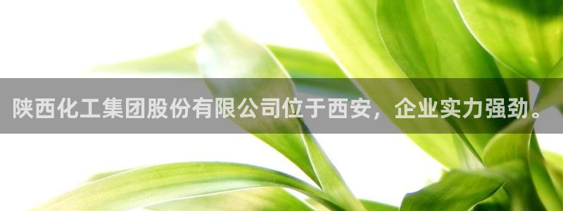球盟会有限公司怎么样