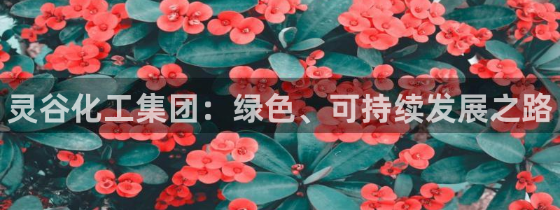 球盟会福利码2023最简单三个步骤