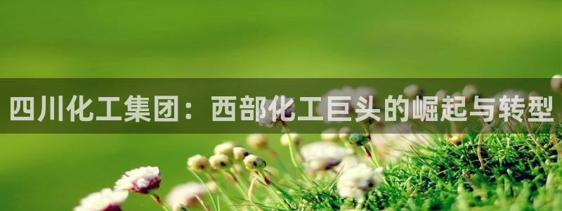 球盟会APP下载