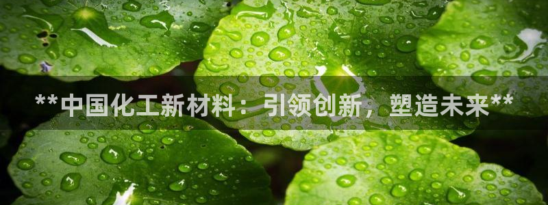 球盟会网址qm9 - 球盟会qmh网页版登录