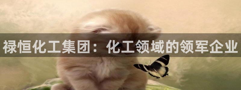 球盟会下款快吗