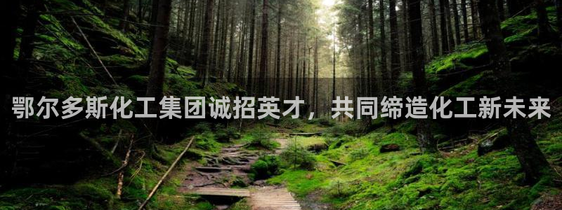 球盟会网址qm9 - 球盟会qmh网页版登录