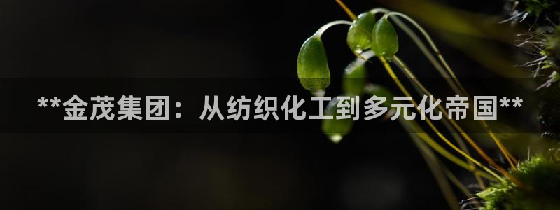 球盟会网页版