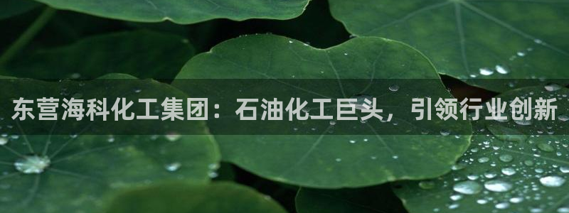 球盟会优惠码