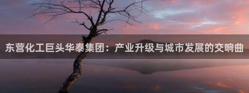 球盟会qmh电子网页版登录