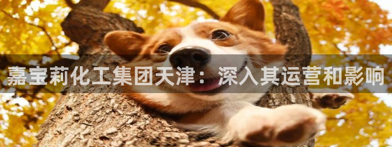 球盟会中国网页登录