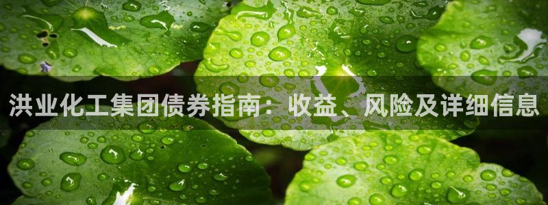 球盟会下款快吗