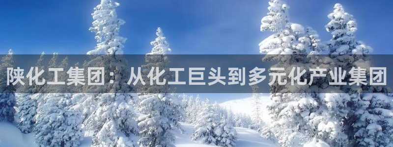 球盟会qmh