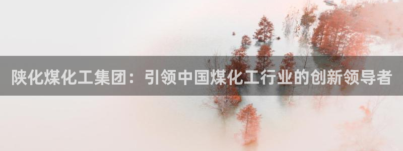 球盟会邮箱：陕化煤化工集团：引领中国煤化工行业的创新领导者