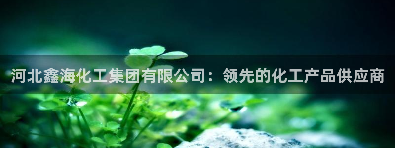 球盟会里面有打牌的嘛知乎：河北鑫海化工集团有限公司：领先的化