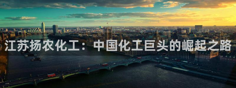 球盟会官方