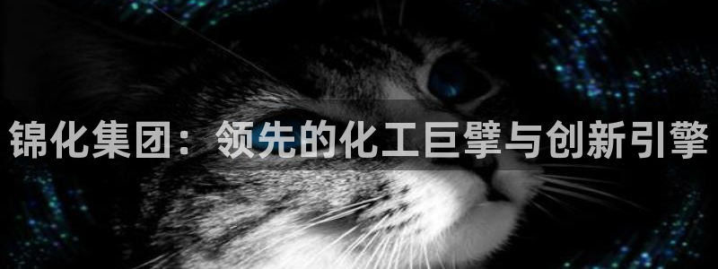 球盟会官方下载
