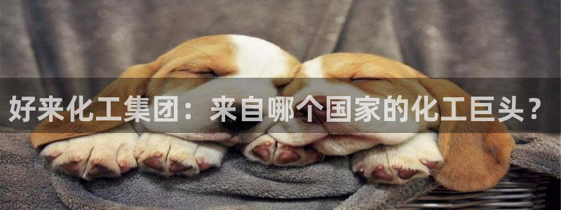 球盟会头号玩家是谁