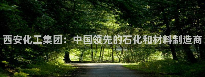 球盟会游戏几点玩合适：西安化工集团：中国领先的石化和材料制造