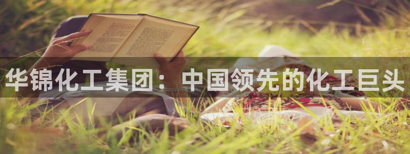 球盟会qmh网址