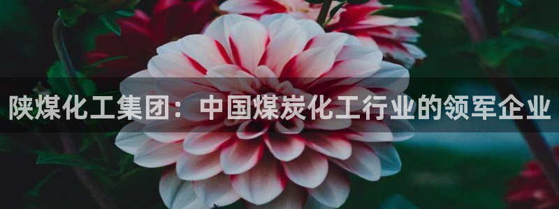 球盟会类似的网站：陕煤化工集团：中国煤炭化工行业的领军企业