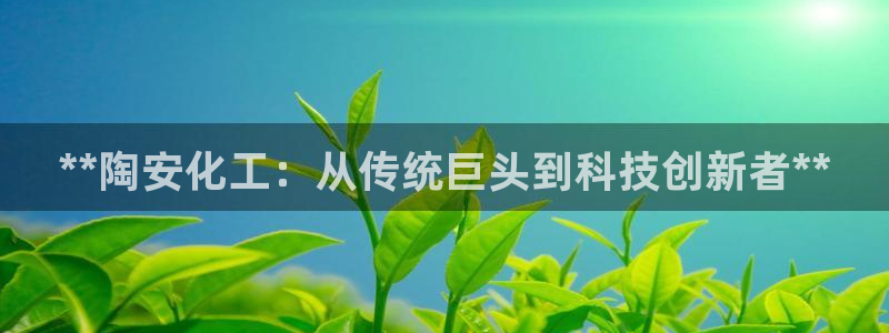 球盟会官方下载