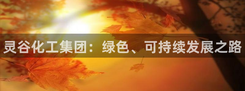 球盟会qm：灵谷化工集团：绿色、可持续发展之路