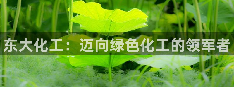 球盟会官网入口