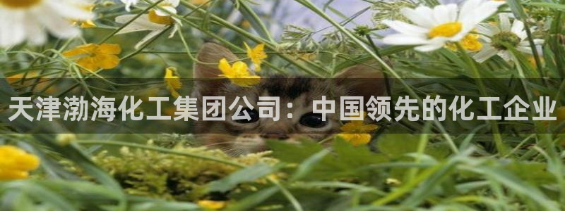 球盟会官方网站app：天津渤海化工集团公司：中国领先的化工企