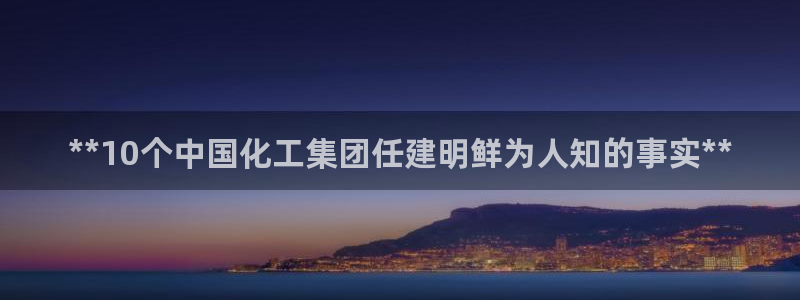 球盟会网页登录app下载地址：**10个中国化工集团任建明鲜