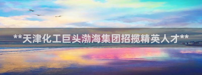球盟会有没有黑单的球员：**天津化工巨头渤海集团招揽精英人才