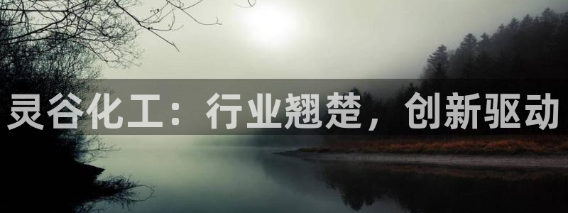 球盟会登录入口：灵谷化工：行业翘楚，创新驱动