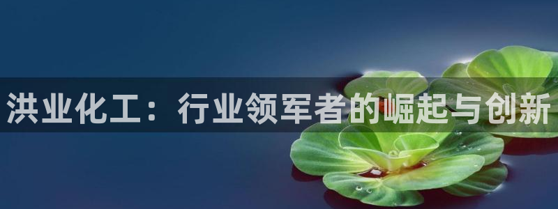 球盟会国际官网