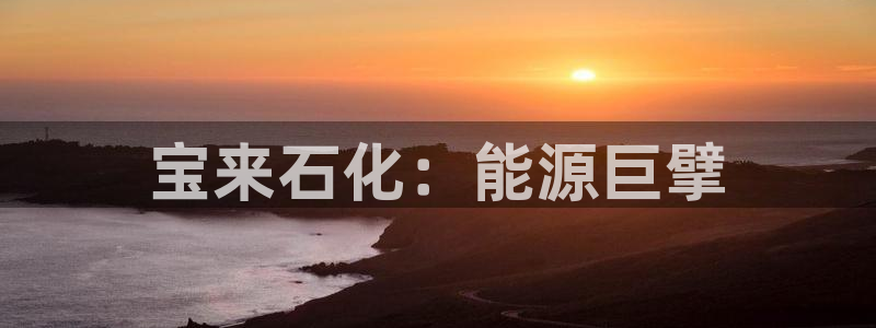 球盟会论坛：宝来石化：能源巨擘