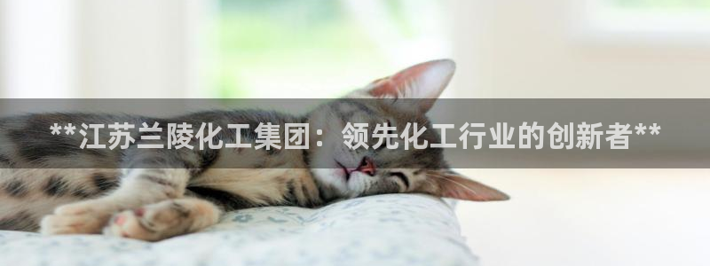 球盟会网页登录：**江苏兰陵化工集团：领先化工行业的创新者*
